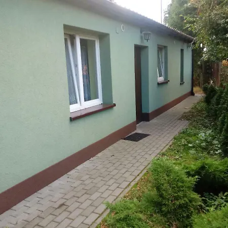 Ambelia Z Ogrodkiem